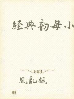 经典韵母小说封面