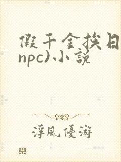 假千金挨日记(npc)小说