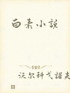 白素小说