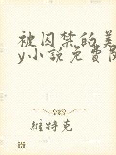 被囚禁的美人by小说免费阅读