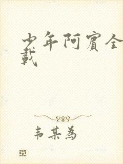 少年阿宾全集下载封面