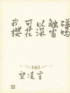 我可以触碰你的樱花深处吗封面