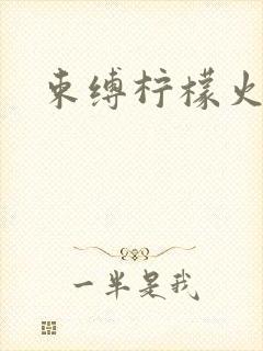 束缚柠檬火焰封面