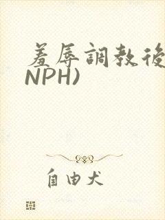 羞辱调教后宫(NPH)
