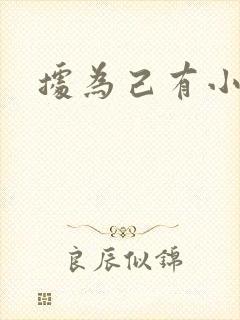 据为己有小说