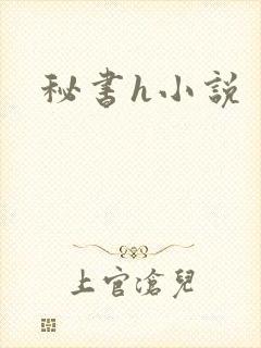 秘书h小说