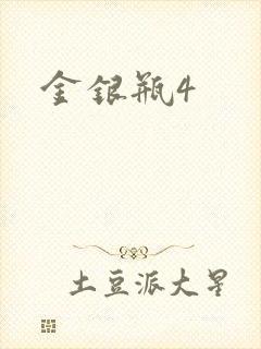 金银瓶4封面