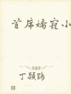 首席娇宠小情人