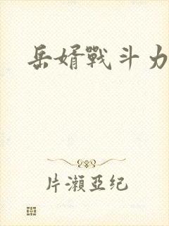 岳婿战斗力封面