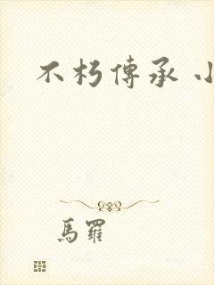 不朽传承 小说