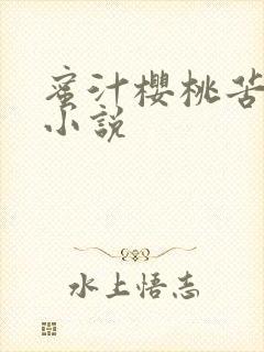 蜜汁樱桃苦咖啡小说