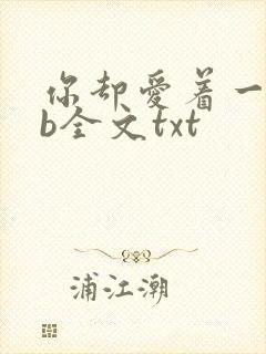 你却爱着一个sb全文txt封面
