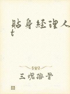 贴身经理人txt