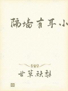 隔墙有耳小说