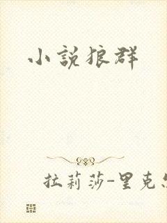 小说狼群封面