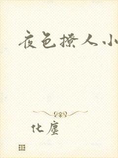 夜色撩人小说