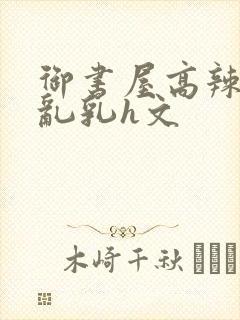 御书屋高辣h文乱乳h文