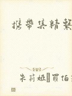 携带集精系统封面