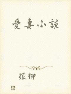 爱妻小说