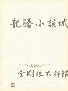 龙腾小说城