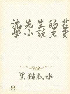 沈先生的花式教学小说免费