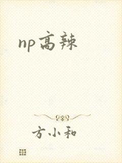 np高辣