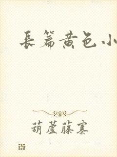 长篇黄色小说封面