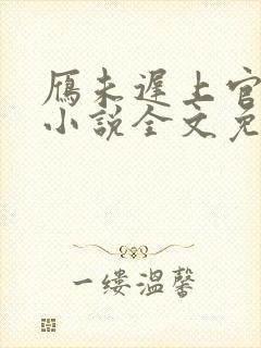 雁未迟上官穿越小说全文免费阅读