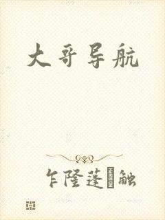 大哥导航