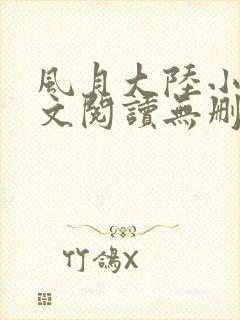 风月大陆小说全文阅读无删减