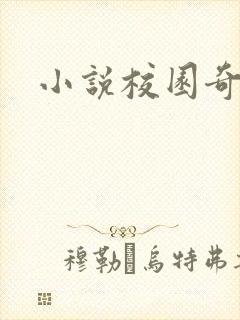 小说校园奇侠封面