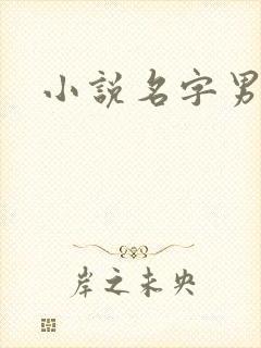 小说名字男生