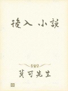 后入 小说