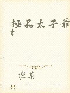 极品太子爷txt