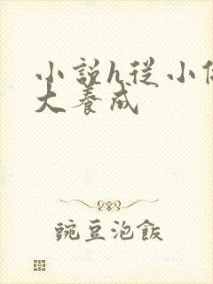 小说h从小做到大养成封面