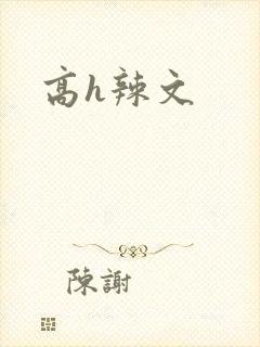 高h辣文