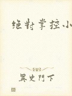 绝对掌控小说封面