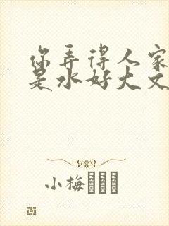 你弄得人家里都是水好大文封面