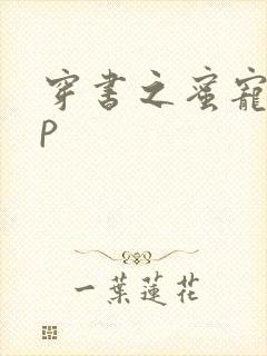 穿书之蜜宠hnp
