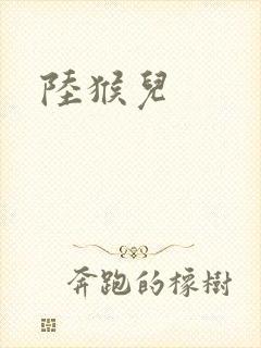 陆猴儿封面