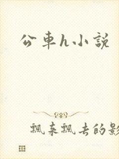公车h小说