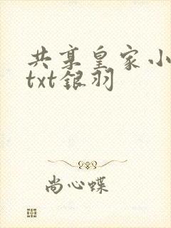 共享皇家小公主txt银羽封面