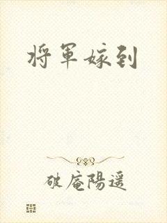 将军嫁到