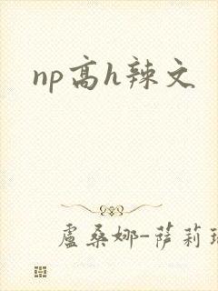 np高h辣文