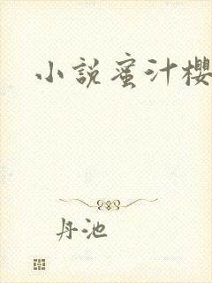 小说蜜汁樱桃