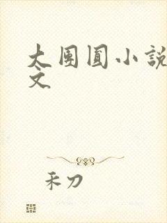 大团圆小说集全文