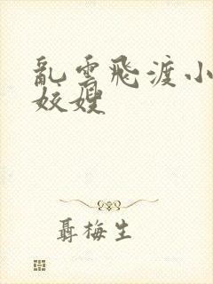 乱云飞渡小说之姣嫂封面