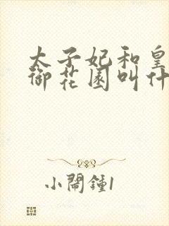 太子妃和皇帝在御花园叫什么小说
