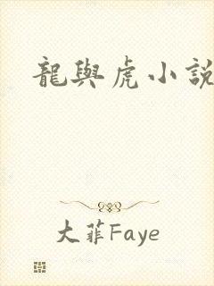 龙与虎小说