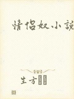 情侣奴小说